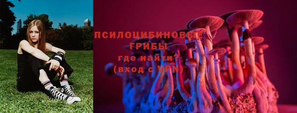 гидра Беломорск