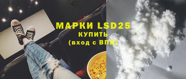 ГАЛЛЮЦИНОГЕННЫЕ ГРИБЫ Белокуриха