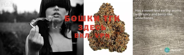 ГАЛЛЮЦИНОГЕННЫЕ ГРИБЫ Белокуриха