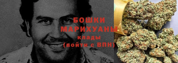 ГАЛЛЮЦИНОГЕННЫЕ ГРИБЫ Белокуриха